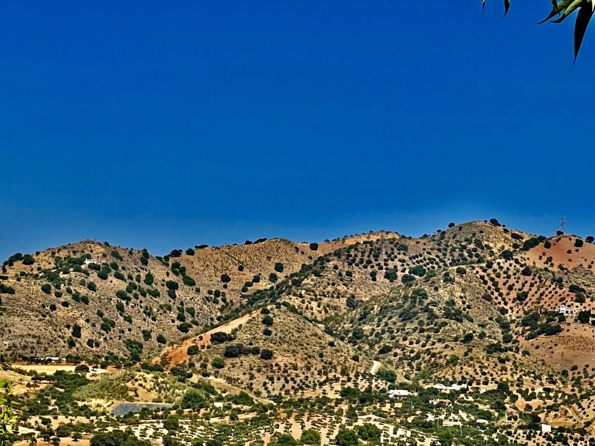 Finca Limoneros Apartment Alora Exterior photo